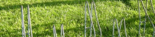 "Alle sind unterwegs"