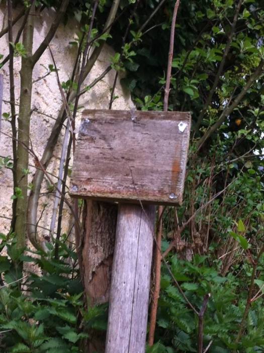 10153905_4255757049814_5878440095677353835_n