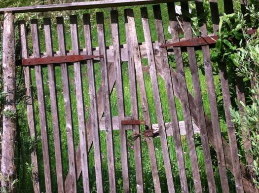 1496659_4255796090790_8456749643277486891_n