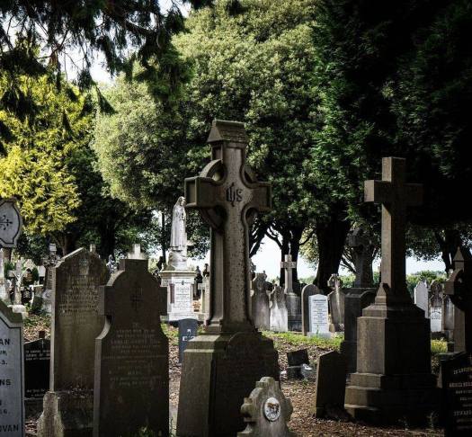 24989516_1682301181833482_36952595_n